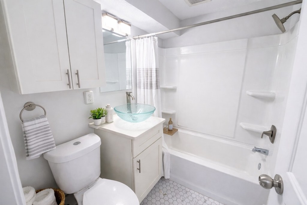 1 Bedroom, 1 Bathroom floorplan